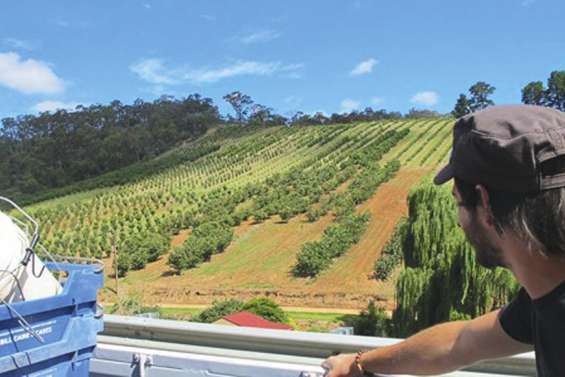 Etudiants et routards étrangers sous-payés