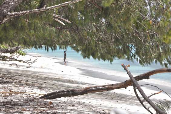 Des boulettes d’hydrocarbure retrouvées sur des plages de Lifou