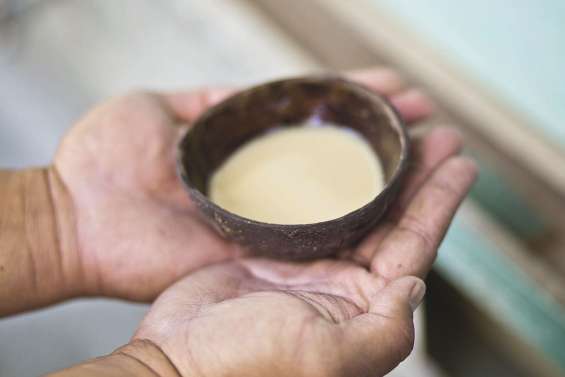 Bientôt du kava importé sans pesticide