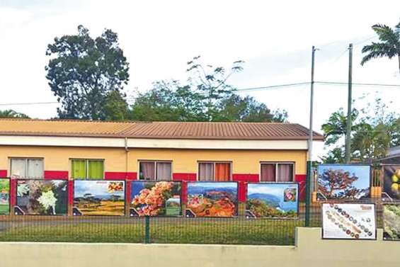 Exposition sur la flore  à la médiathèque