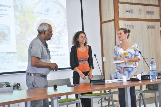 Les Si Nengone face  à l’économie du pays