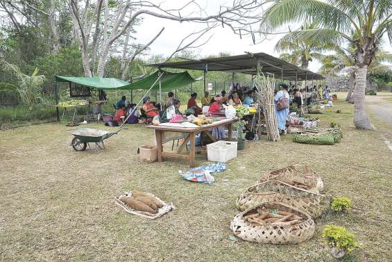 Des animations pour inaugurer le centre culturel Yeiwene Yeiwene