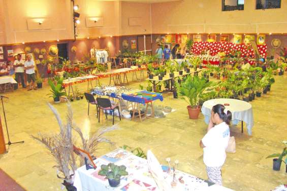 Artisanat et plantes pour les fêtes de Noël