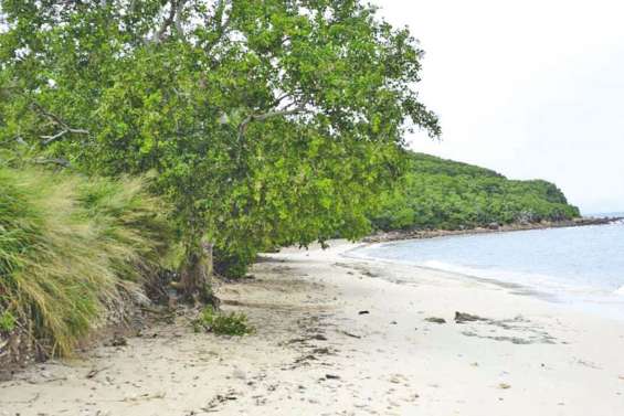 Le meurtrier de Jean-Pierre Deteix condamné à 20 ans de prison