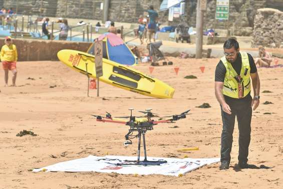 Des drones pour repérer les requins