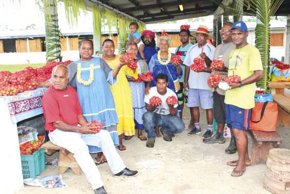 La bonne récolte de la sixième  Fête du letchi de Hnacaöm