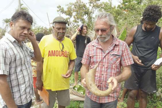 L'autosuffisance alimentaire prend racine