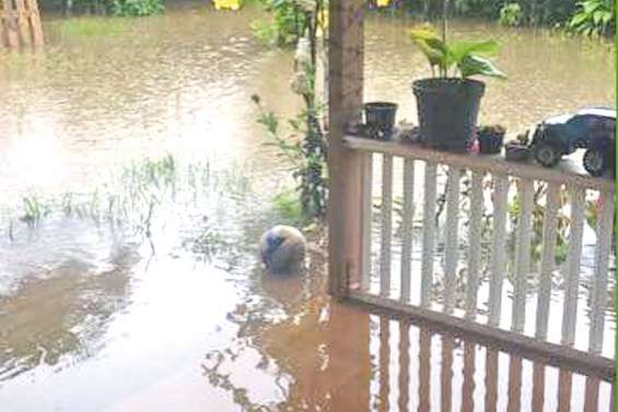 Les fortes pluies sont de retour