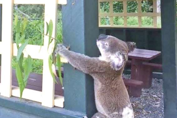 La photo qui indigne les internautes