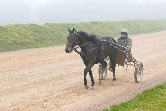 Bold Eagle attendu pour la victoire