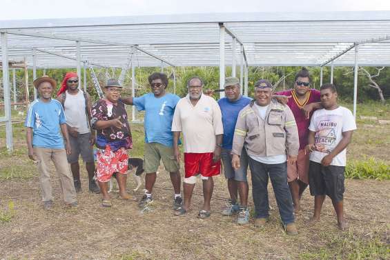 La tribu de Kumo construit  sa maison commune