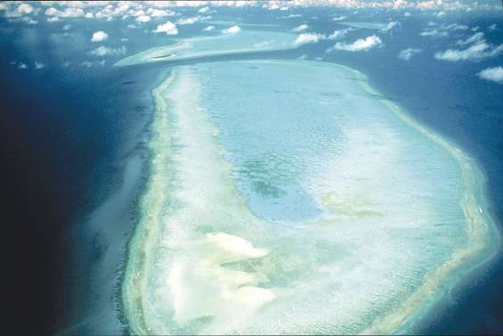 Qui pourra sauver la Grande Barrière ?