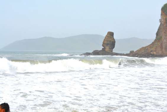 Des nids de tortue détruits par de fortes vagues