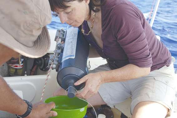 Le phytoplancton,  clé de compréhension