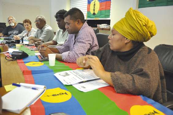 Voter ou non au référendum ? Le Rin prendra position