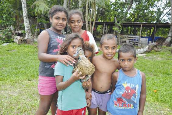 Un curieux visiteur  à Hnawayac