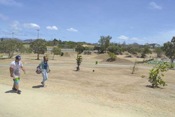 Courir seul c’est bien,  à deux c’est mieux...
