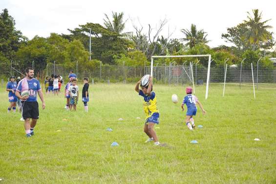 Les Crevettes  musclées sur le terrain