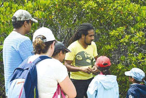 La Journée mondiale des zones humides à Pindaï