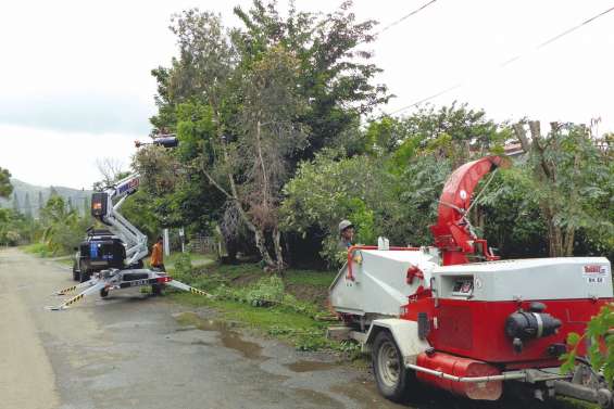 Une petite coupe pour les arbres