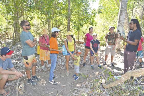 Coup de pouce à la forêt sèche de Déva