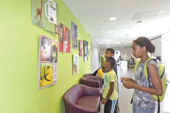 Expositions : les médiathèques font aussi leur rentrée