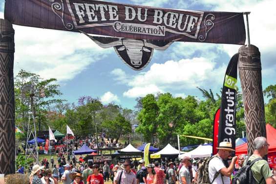 Du travail clandestin à la Fête du bœuf