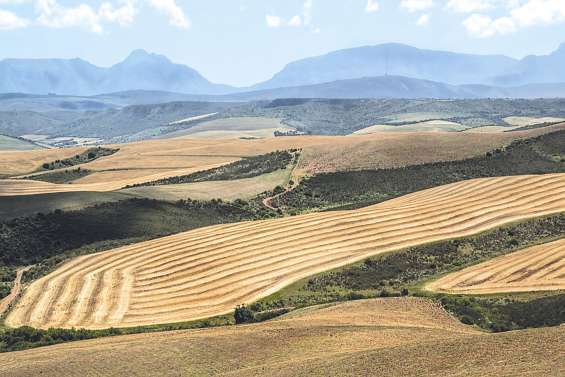 L’Australie veut proposer des visas aux fermiers blancs sud-africains