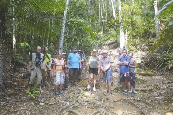 A la découverte  des champignons