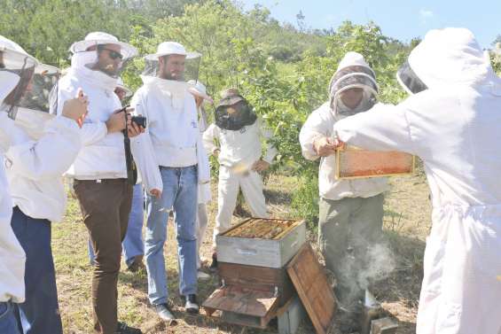 Les apiculteurs en démonstration  au rucher Natcha