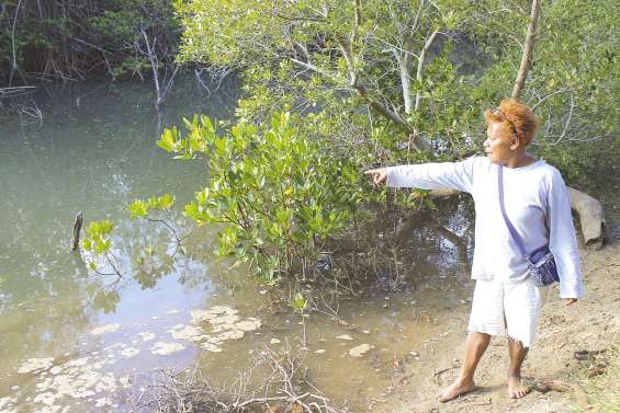 Le réchauffement climatique au cœur du festival Waa-Dï
