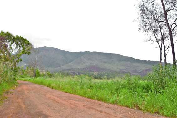 La mairie alloue 100 millions  à la réfection de routes