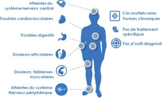 La gratte inquiète les autorités
