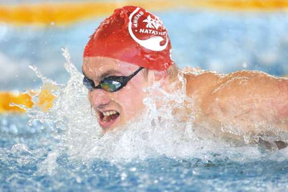 Les Cagous engrangent  de la confiance à Marseille