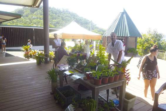 Des nouveaux  au marché