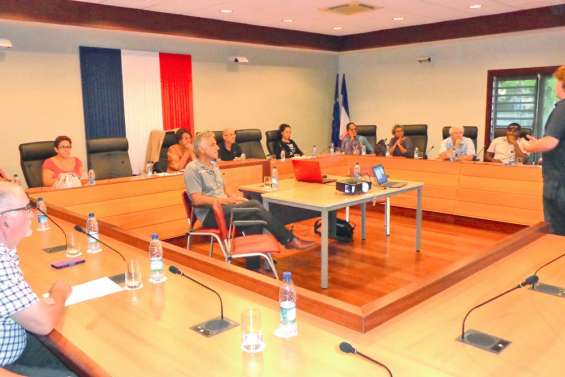 La ferme photovoltaïque de Ouatom présentée