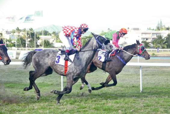 Les pronostics de la première journée de courses
