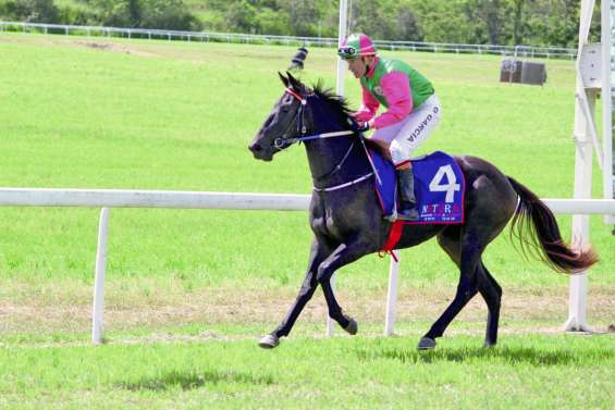 Un an après, le retour de Gil Garcia Gonzales