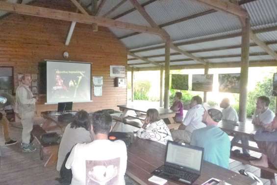 Un voyage dans la flore menacée du Caillou