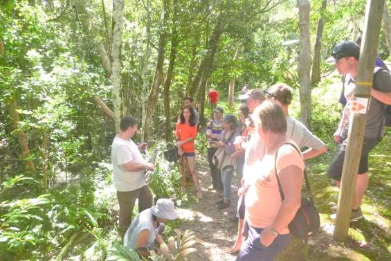 A la recherche des champignons  au parc des Grandes Fougères