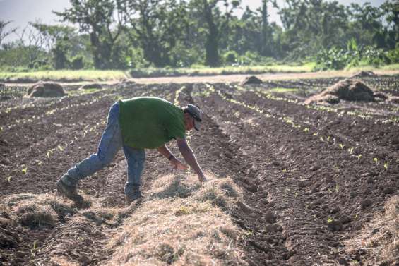 Un vœu de « transparence » pour l’Agence rurale