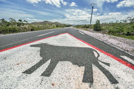 Deux et trois mois de sursis pour avoir abattu une vache