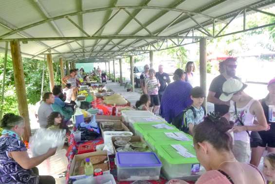 Le marché concurrencé  par la Fête de Boulouparis