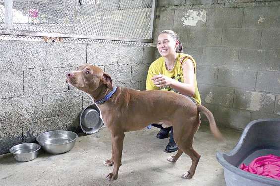 Spanc : le nouveau refuge livré en fin d’année