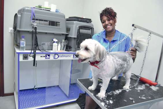 De nouveaux commerces pour  (re)dynamiser le centre de Boulari