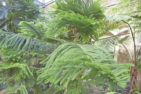 Deux projets calédoniens distingués par  le ministère de la Transition écologique