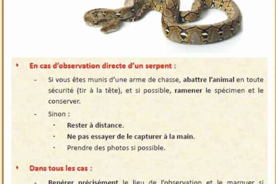 Python : le Conservatoire appelle à la vigilance