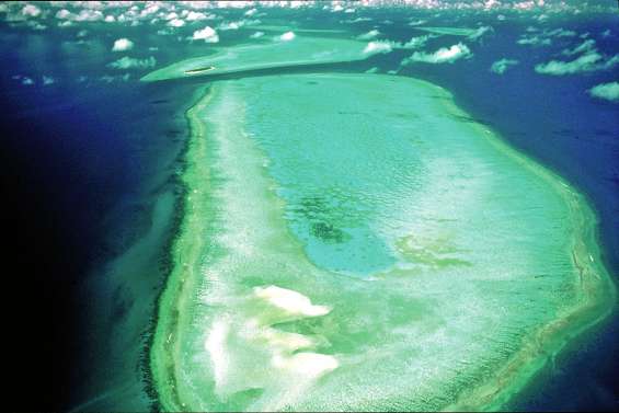Protéger la Grande Barrière : ils en appellent à l’Unesco