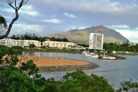 L’îlot Mangrove repousse la mer à Boulari