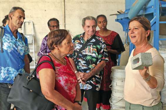 Deux matières, deux entreprises, deux trajectoires